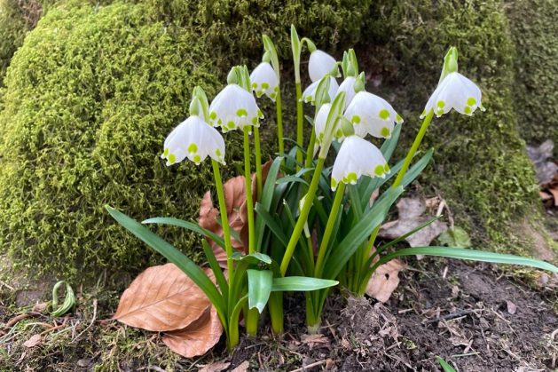 654cad5e-a560-4f4a-9cc0-01c2261b946e