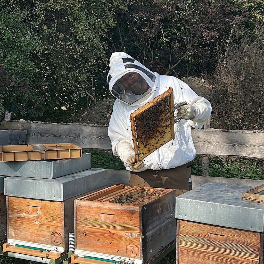 bienen_img_8444_square